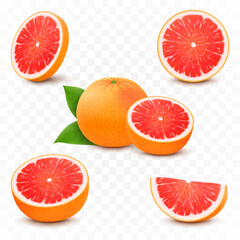 Set of fresh juicy grapefruit with leaves. Half, slice, and whole of citrus fruit, isolated on transparent background. Summer fruits for healthy lifestyle. Realistic 3d vector illustration