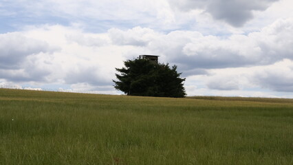 Auf dem Feld unter Beobachtung