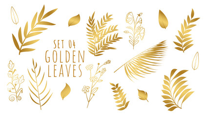decorative golden botanical leaves collection