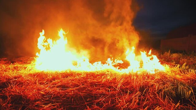 A wheat field is burning. war Ukraine, Kherson region. Arson, explosion, world hunger. Arid climate due to hot weather. Clouds of smoke and fire spread. Farmland on fire.