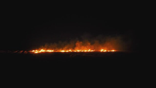 A wheat field is burning. war Ukraine, Kherson region. Arson, explosion, world hunger. Arid climate due to hot weather. Clouds of smoke and fire spread. Farmland on fire.