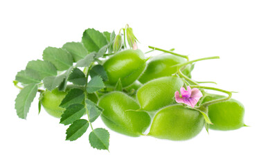 Green chickpeas in the pod with green leaves and flowers, isolated on white background. Cicer arietinum. Clipping path.