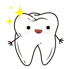 cute cartoon character shine tooth