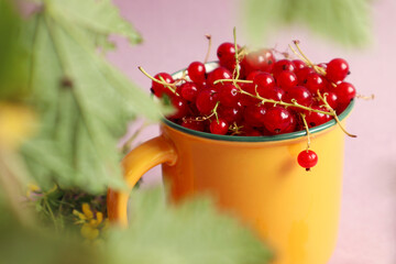 Summer is the time for vitamin berries: red currants in a yellow mug on a pastel background, close-up, bokeh