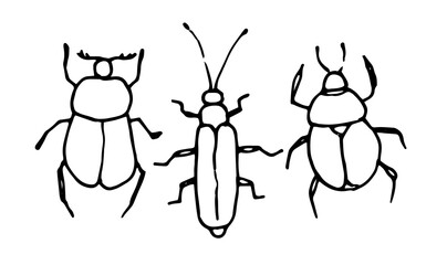 beetles hand-drawn in a doodle style. Vector set of isolated elements funny beetles of different shapes with a black outline on a white background for a design template
