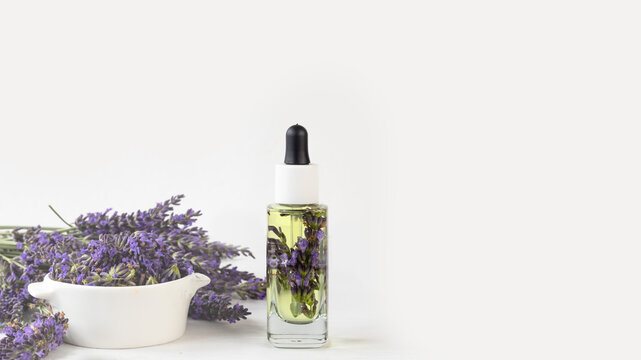 Glass bottle of Lavender essential oil with fresh lavender flowers and dried lavender seeds on white background, aromatherapy spa massage concept. Lavandula oleum.