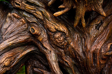 Background and texture of old wooden wall