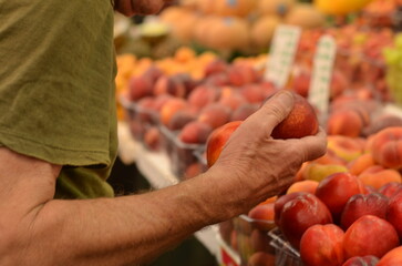 elderly man with wrinkled hands carefully choosing bright fresh fruits and vegetables at the bright...