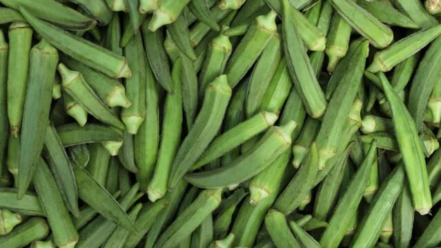 fresh organic ladyfinger from farm close up from different angle