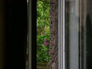 the window is ajar, the view of the bushes behind it, the interior is visible, darkened