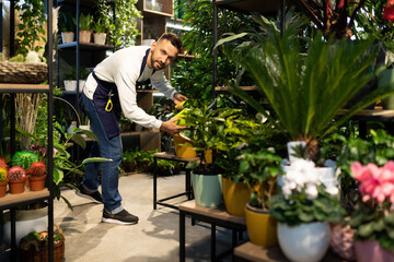a specialist in the care of potted plants and flowers works in a store selling green plants