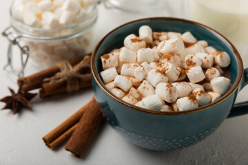 Cup of tasty cocoa drink and marshmallows in blue cup.Spices and marshmallows for winter drinks on white texture table.Winter hot drink.Hot chocolate with marshmallow and spices.Copy space.