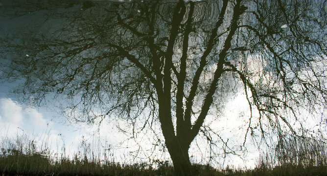 Reflection