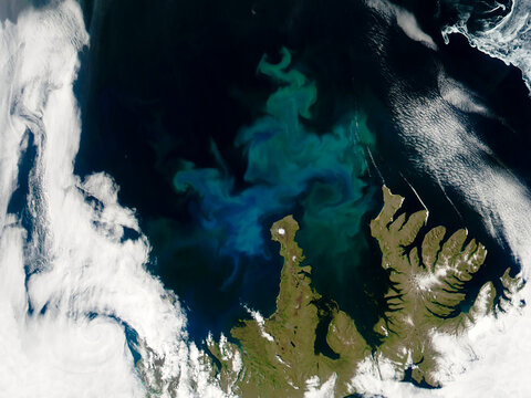 Top view of Phytoplankton Bloom off Iceland. Shades of green and blue swirling in the waters. Planktons in deep waters. Aerial view of ocean. Elements of this image furnished by NASA.