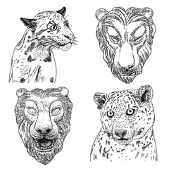 Set of live tiger and leopard in different view roaring and growling. Drawing of live and made of stone muzzle. Animals of Asia, Chinese lunar New Year symbol. Vector.