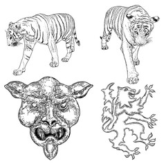 Set of live tigers roaring and growling. Drawing of live and made of stone body and muzzles. Animals of Asia, Chinese lunar New Year symbol and zodiac. Vector.