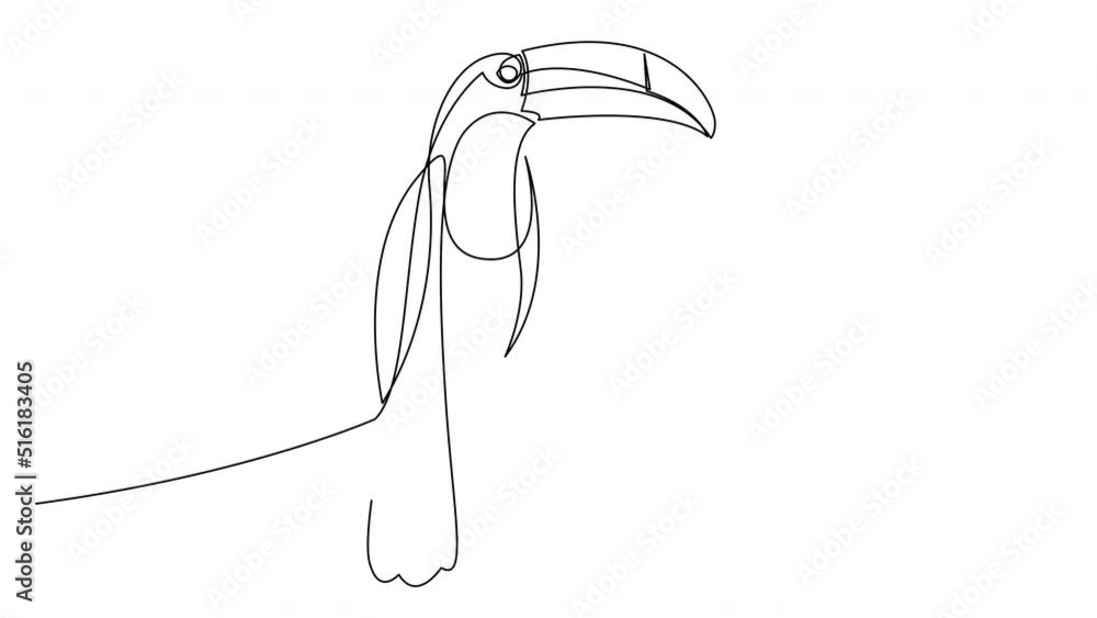 Aufkleber animated self drawing of continuous line toucan bird with big beak sitting on branch for logo identi