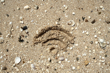 WiFi sign is drawn in the sand, on the seashore, on a summer day. Top view. 
