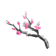 Realistic sakura blossom - Japanese cherry tree isolated on white background. Watercolor branch sakura blossom. Vector