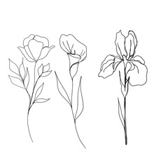set of flowers continuous line drawing. One line art. minimalism sketch, idea for invitation, design of instagram stories and highlights icons