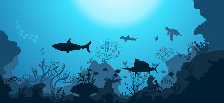 silhouette of coral reef with fish  on blue sea background underwater vector illustration