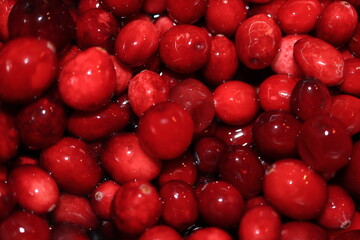 Homemade cranberry sauce