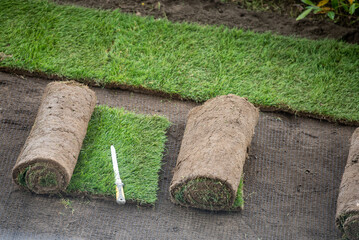 Making a lawn from a roll.