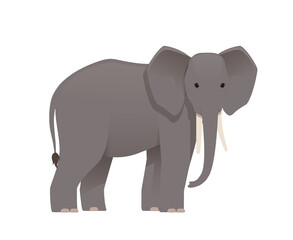 Elephant. Vector isolated on white background