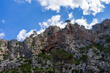 Fototapeta na wymiar Kamienna góra, na szczycie rosną samotne drzewa. Słoneczny dzień, błękitne niebo. 
