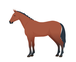 Horse. Vector isolated on a white bacground