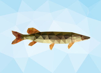 Polygon pike. Triangle vector fish