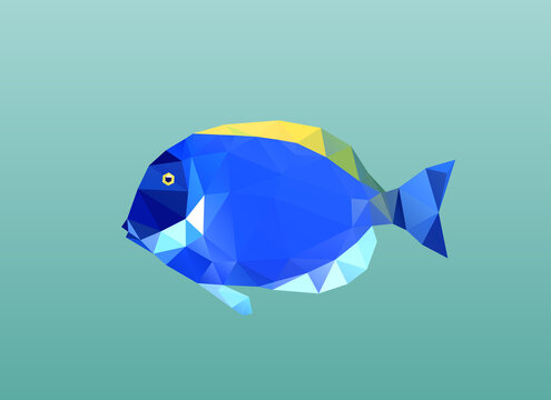 Low poly fish. Geometric polygonal blue surgeon fish. Acanthurus leucosternon