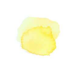 slice of pineapple watercolor