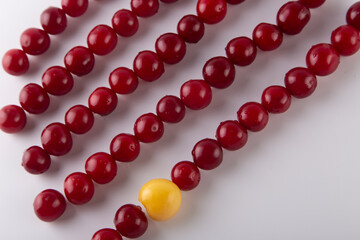 Many red cherries and one yellow differs from others lay in lines on white background