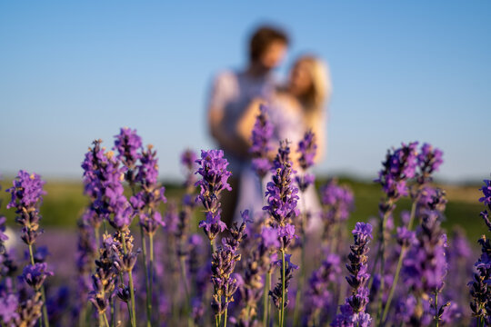 couple in purple lilac outfit hugging in lavender field, photo session 