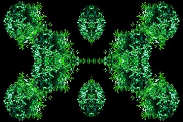 3d render illustration, Unique picture of summer Artwork