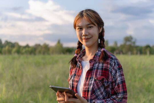 Young agriculture student working with tablet in field at sunset. Young attractive Asian girl in a field using tablet. Portrait of female farm worker with digital tablet