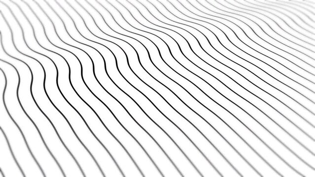 Abstract of dimensional line , movement of black and white lines