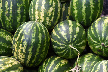 Wassermelonen auf türkischem Markt
