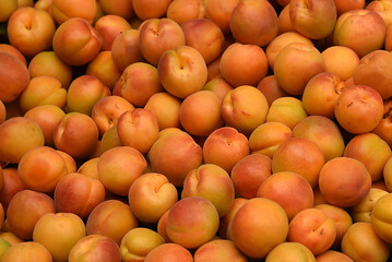 Pfirsiche und Mirabellen