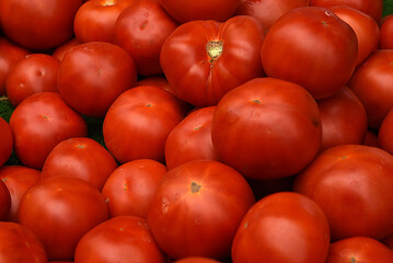 türkische Tomaten