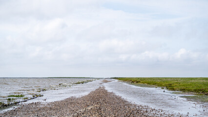 Ribe city in danmark near the coast where you can cross to an island nearby with the car