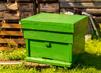 The big green bee hive - 516194649