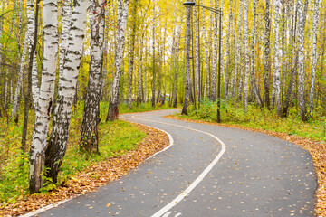 Autumn road in the park.. - 516194650