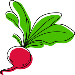 Vector red radish. Stylized radish. Vegetable vector isolated. Vegetable icon. Radish icon.
