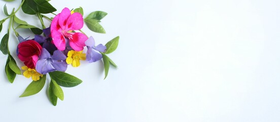 Colorful spring flowers on a white background. Delicate floral arrangement. Background for a greeting card.