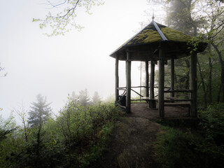 Fototapeta na wymiar foggy morning in the forest on hiking trail Moselsteig