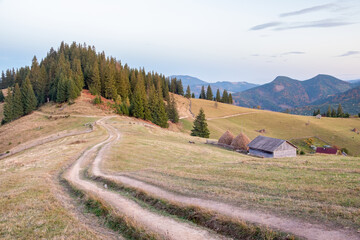 Beautiful view of mountains in Ukraine. Wonderful panoramic landscape with autumn forest on a sunny day.