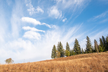 Fototapeta premium Stunning sunny morning scene. Beautiful view of Carpathian mountain scenery with autumn meadows and trees in beautiful sunny day with blue sky