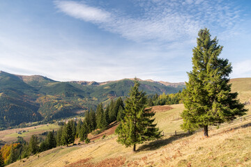 Beautiful view of mountains in Ukraine. Wonderful panoramic landscape with autumn forest on a sunny day.